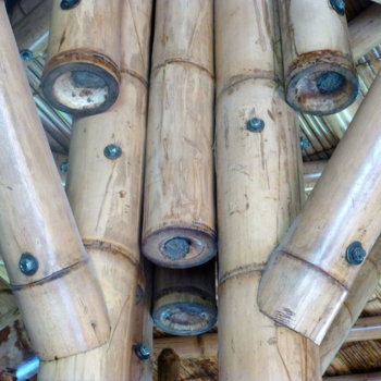 14 Details Assemblage Bambou